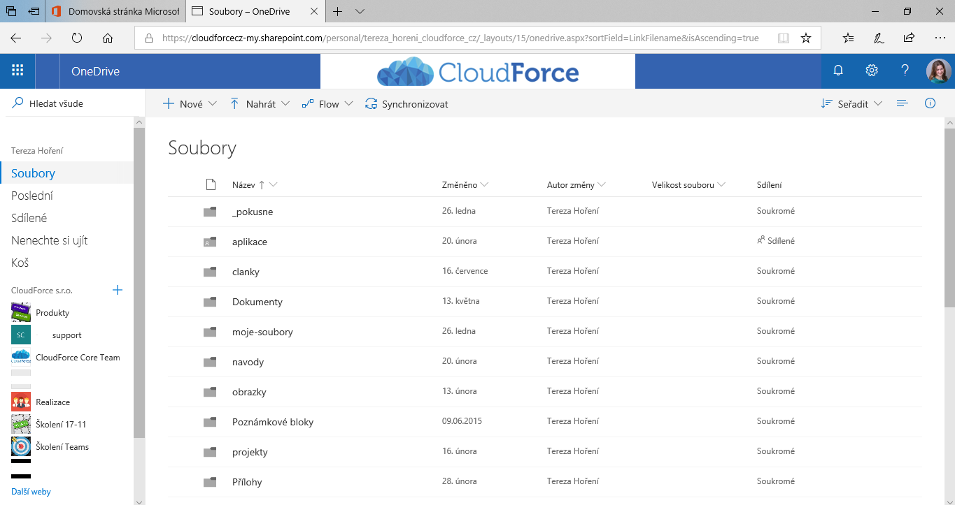 OneDrive pro firmy